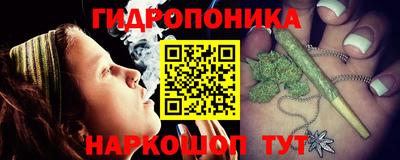 гашик Каменск-Шахтинский