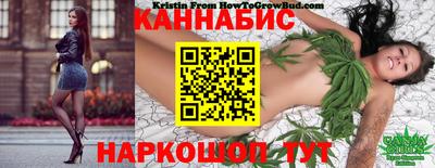 гашик Каменск-Шахтинский