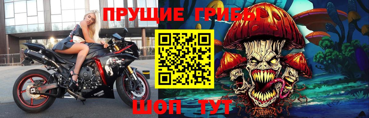 Псилоцибиновые грибы MAGIC MUSHROOMS Богородицк