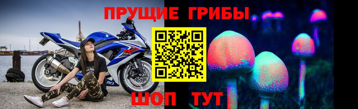 купить   Галлюциногенные грибы MAGIC MUSHROOMS  Вход с VPN  Богородицк 